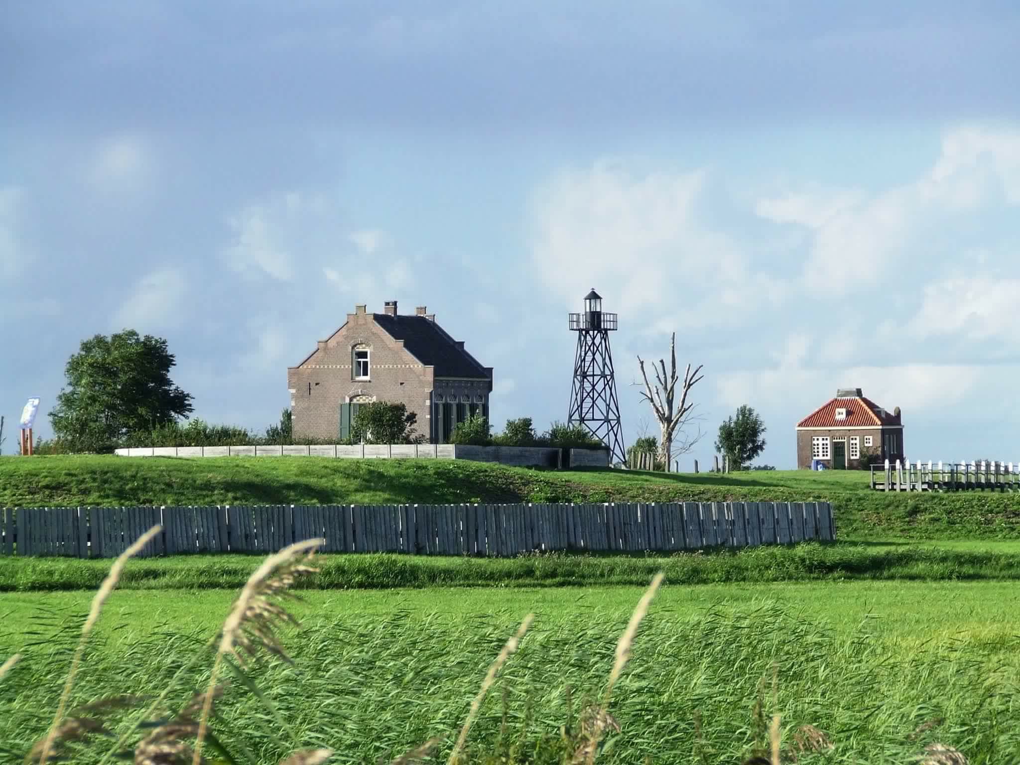 Bijdrage van de omgeving